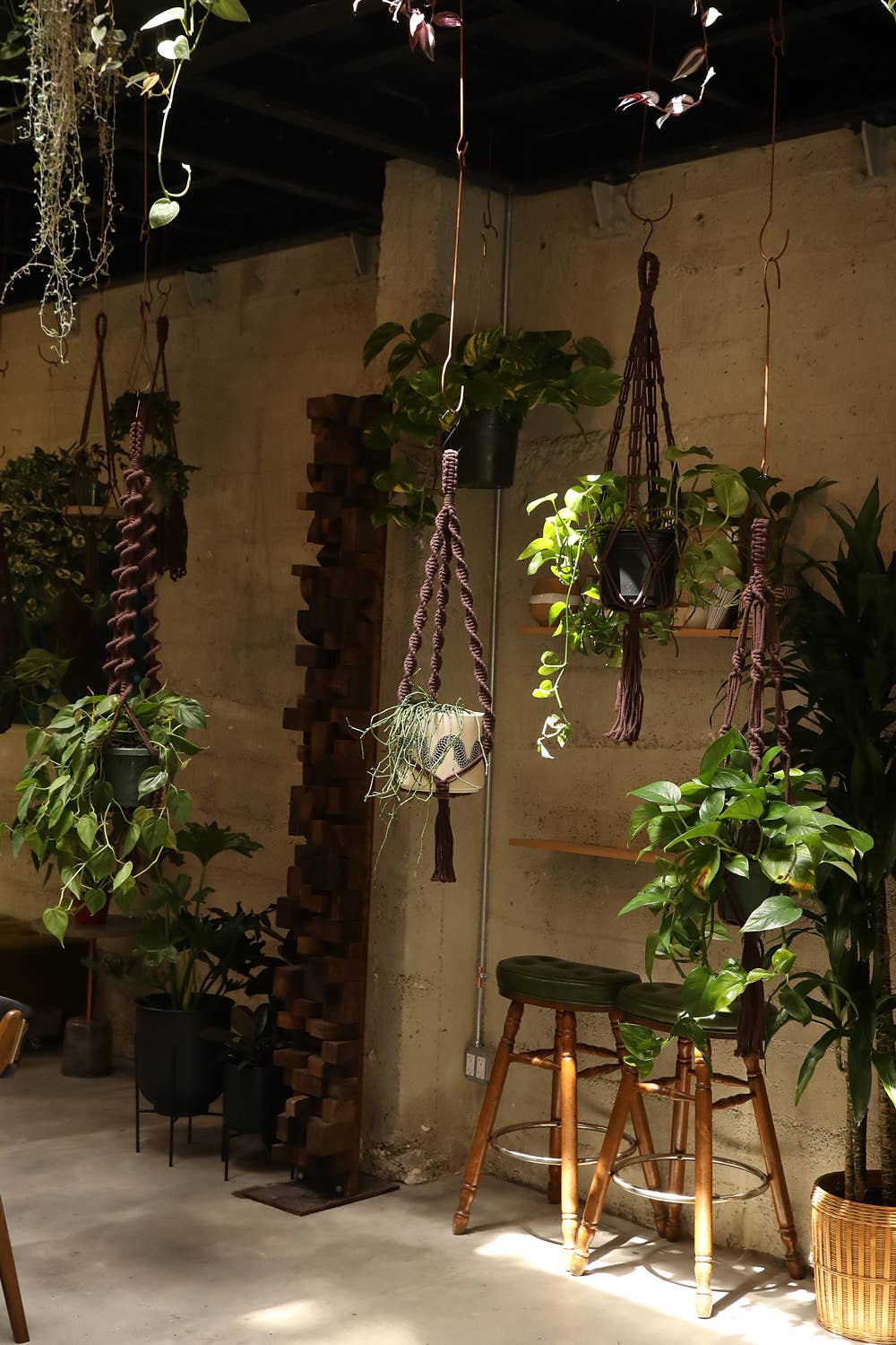 Soul of the Party - Wholesale Hanging Planter - Double Helix Plant Hanger3