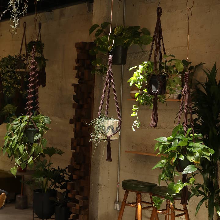 Soul of the Party - Vendita all'ingrosso Fioriere a sospensione - Appendiabiti a doppia elica3