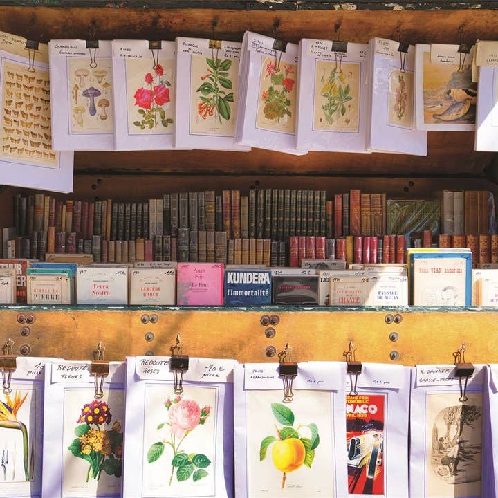 Parisian Library 1000 Piece Jigsaw Puzzle for wholesale by Springbok Puzzle