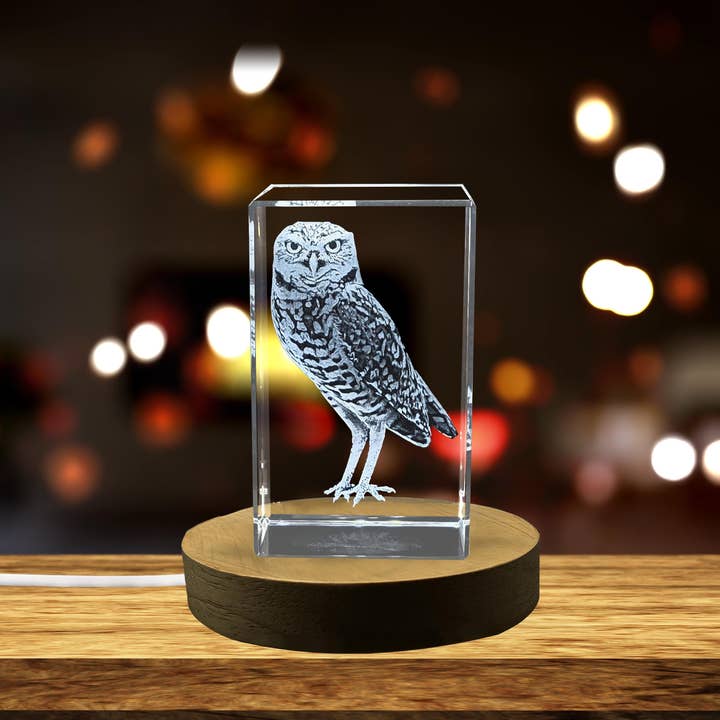 AB Crystal Collection - Venta al por mayor Artículo decorativo de mesa - Escultura de Cristal Bellamente Grabada en 3D de un Búho Excavador Recuerdo Regalo