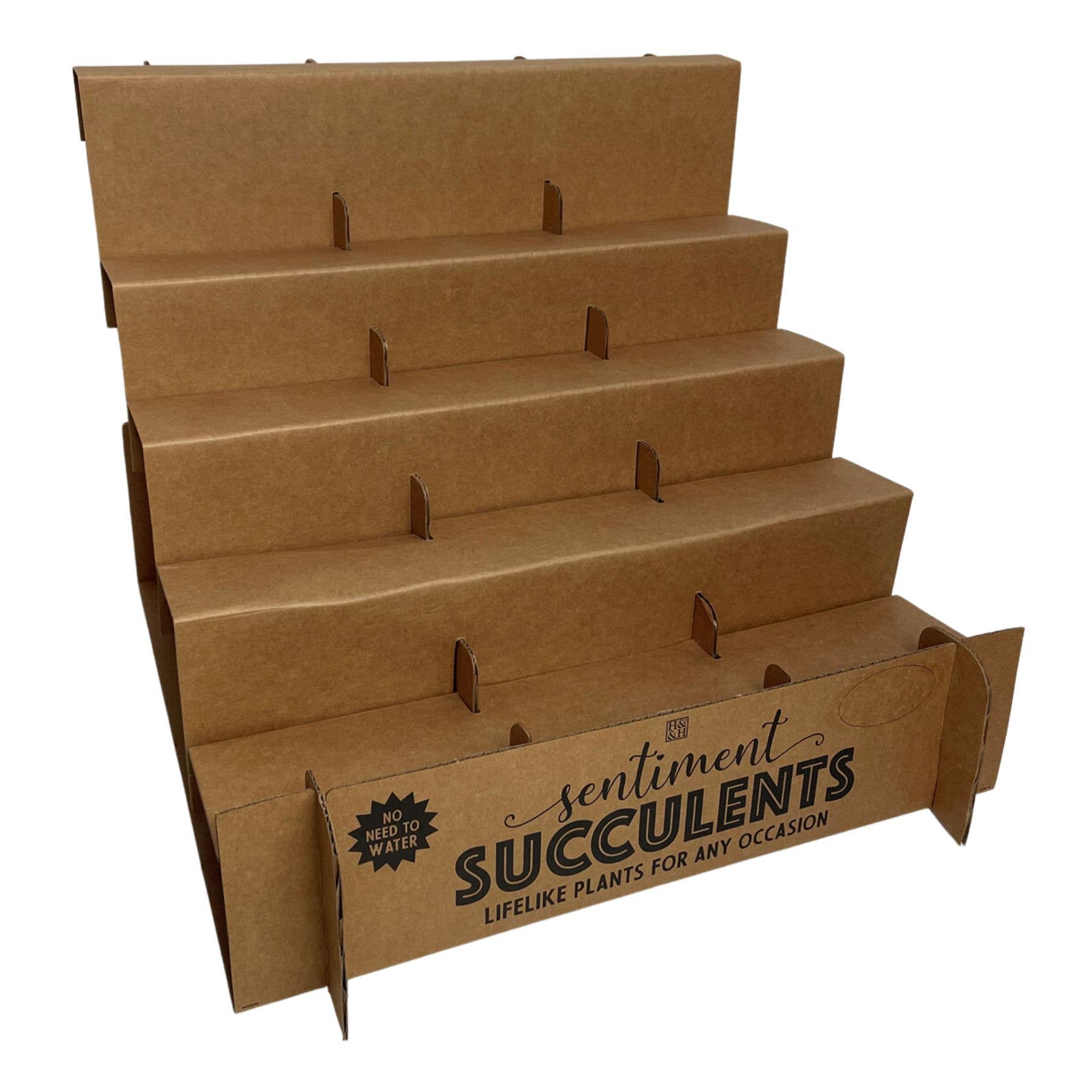 The H&H Group - Wholesale Succulent - Sentiment Succulents Counter Display & Stock - Sentiments1