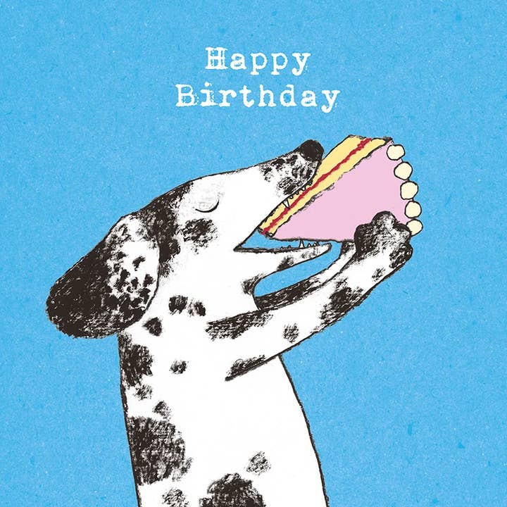 Wenn der Kuchen passt/Geburtstag für den Großhandel von Paper Bird Publishing