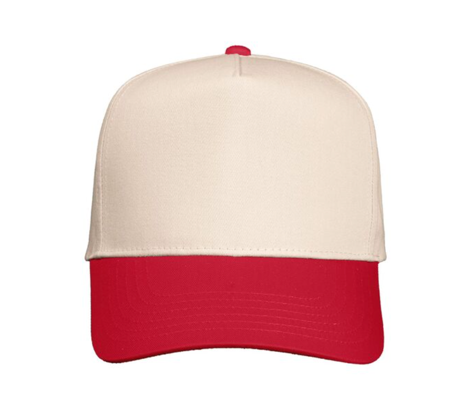 Thirty One Sundays - Wholesale Trucker Hat - Women's - Dilly Dally Two Tone Funny Hat - 3D Puff Embroidered 7