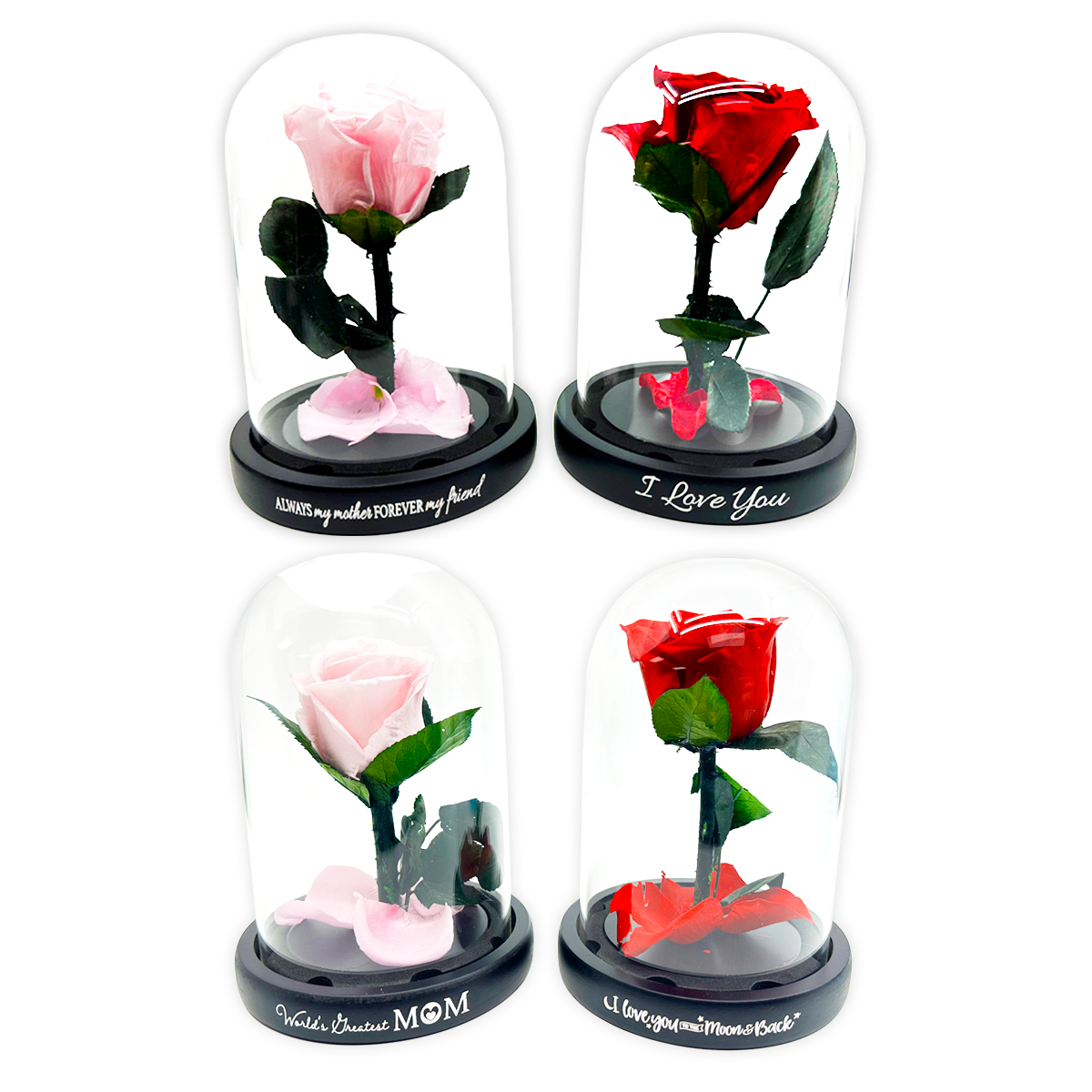 Novelty Brands - Wholesale Retailer Display - Home & Living - Real JUMBO Preserved Rose Keepsake Glass Gift - 4/Display2
