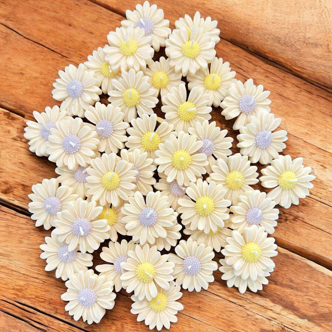 Karly’s Candles - Wholesale Party Favor - Madeliefje Sojakaars Bedankjes voor Bruiloften & Babyshowers6