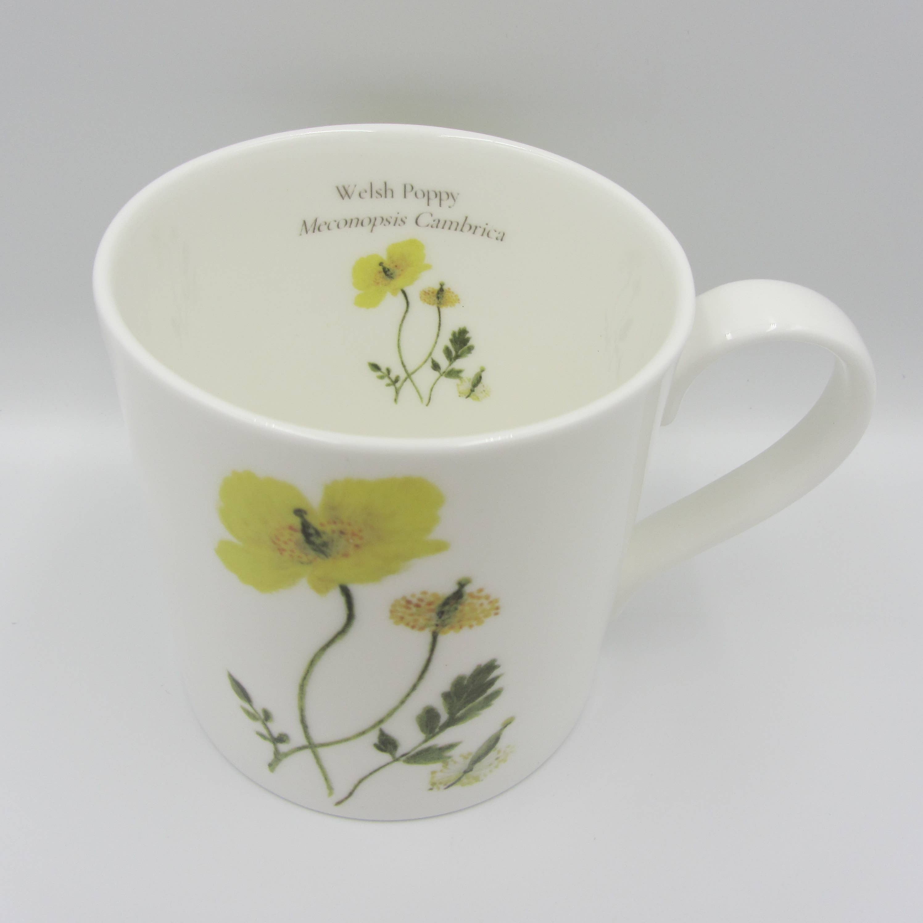 Sophia Davenport - Wholesale Coffee Mug - Wildflower Fine Bone China Mugs Large 375ml9