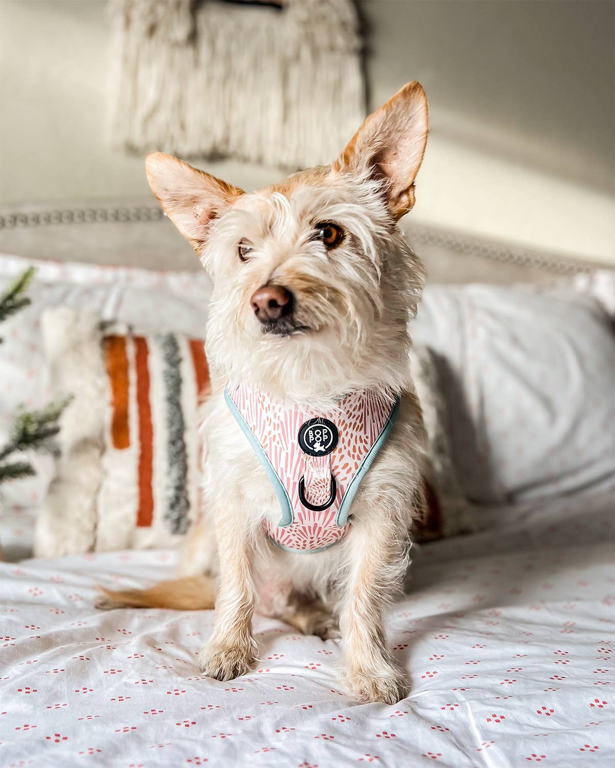 Bop Pop Pets - Venta al por mayor Arnés - Perros - Arnés para perros ZOE5