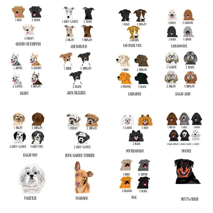 Afewhometruths – wholesale Pet identification tag – Dog – Personalised Dog ID Tag4