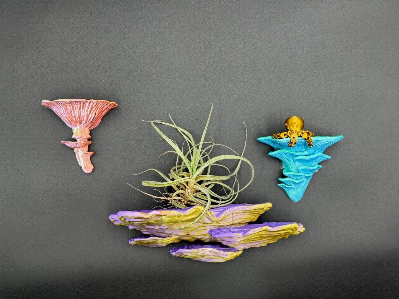 Brehmwood Creative - Wholesale Wall Mounted Shelf - Shimmering Ostrea Floating Shelf - Unique Fungus Design in 6 Colors, Perfect Home Decor4