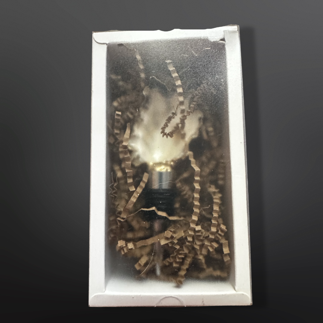 Shell Yeah By Jaks LLC - Venta al por mayor Tapones de vino - Kit de inicio naturalmente elegante5