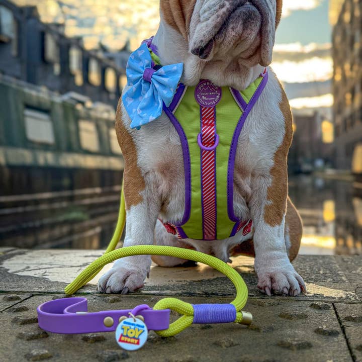 Pawsome Paws - Wholesale Pet Leash - Dog - Disney© 4ft Rope Lead - Buzz Lightyear