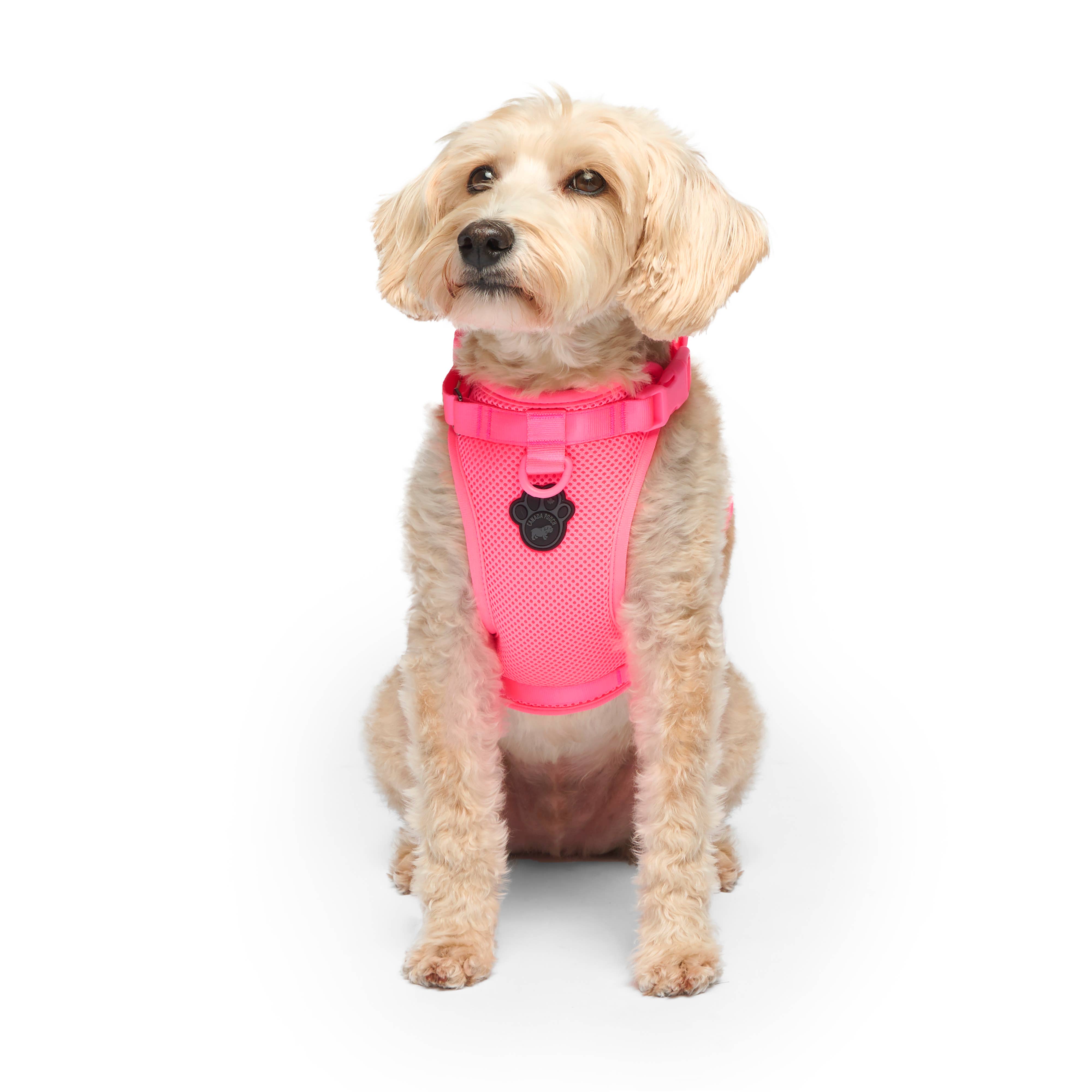 Canada Pooch - Wholesale Pet Harness - Dog - Everything Harness- No-Pull Dog Harness (Mesh)14