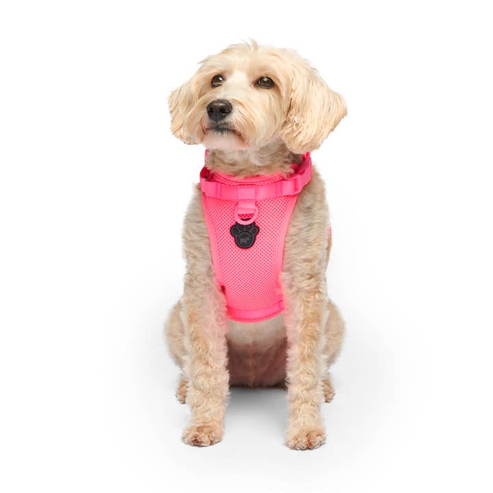 Canada Pooch - Wholesale Pet Harness - Dog - Everything Harness- No-Pull Dog Harness (Mesh)14
