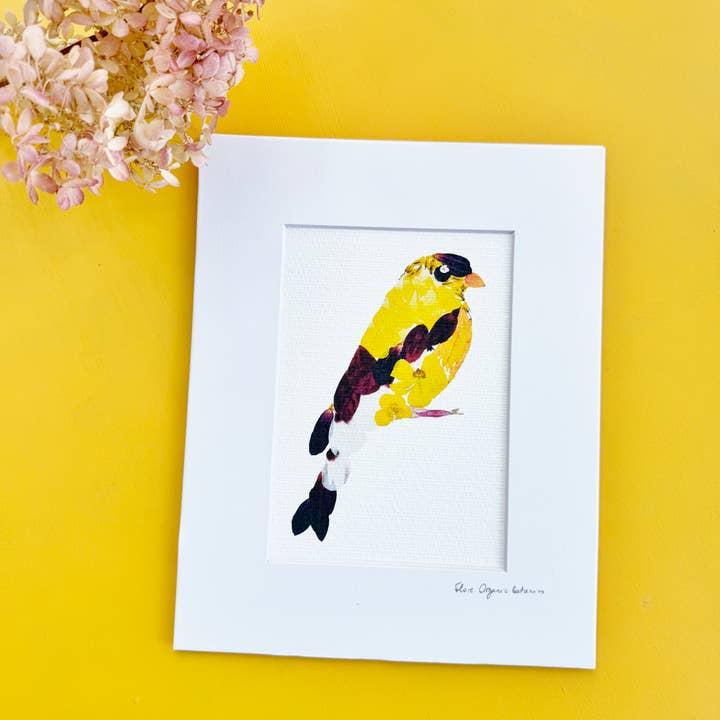 Floral Goldfinch - signed matted print for wholesale by FloreOrganicBotanics