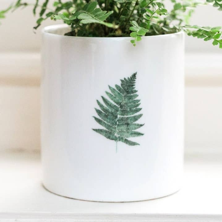 Fern Fine Bone China Pot in a Gift Box for wholesale by Toasted Crumpet
