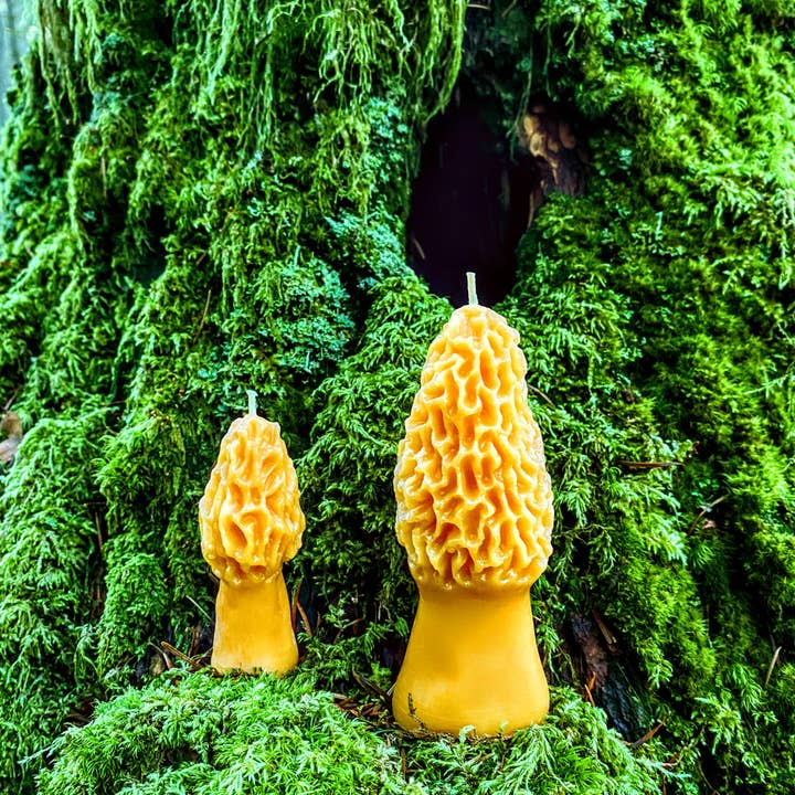 Waxing & Raining Handmade Goods - Wholesale Novelty Candle - Beeswax Morel Mushroom Candles | Beeswax Candle | Non-toxic