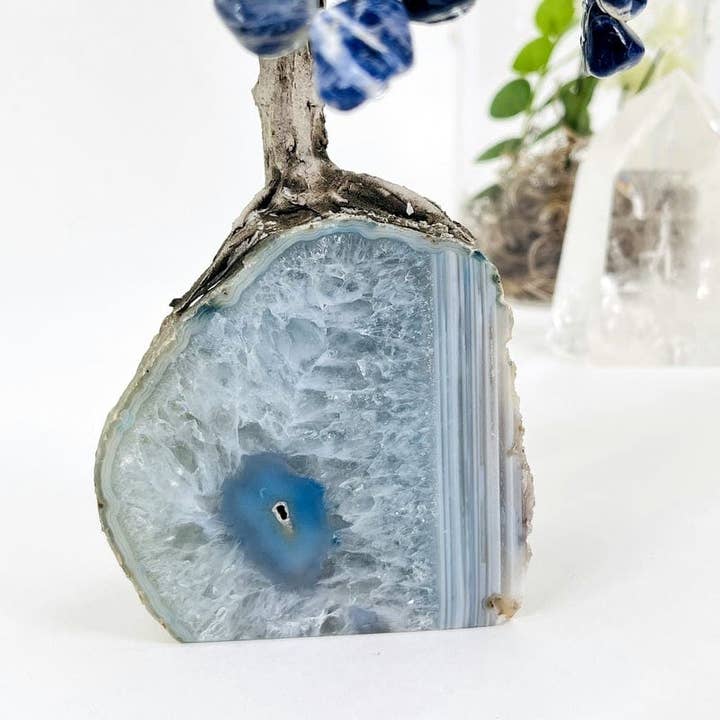 Rock Paradise - Wholesale Spiritual Stone/Crystal - Sodalite Crystal Tree on Agate Geode Base - You Choose Color12