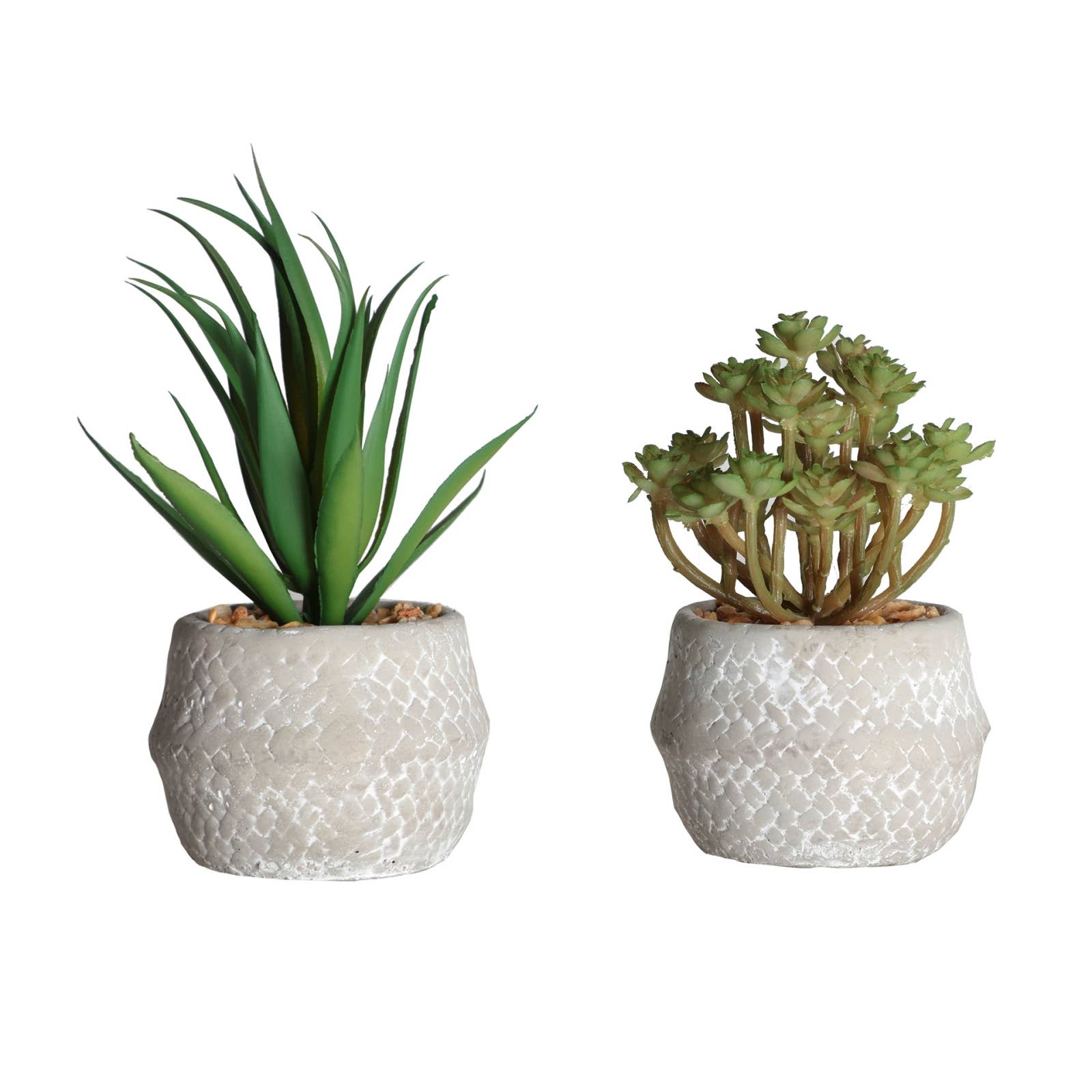 B&B - Wholesale Plant Pot - Assorted Plant 2, Cement, Green, 12X12X14cm0