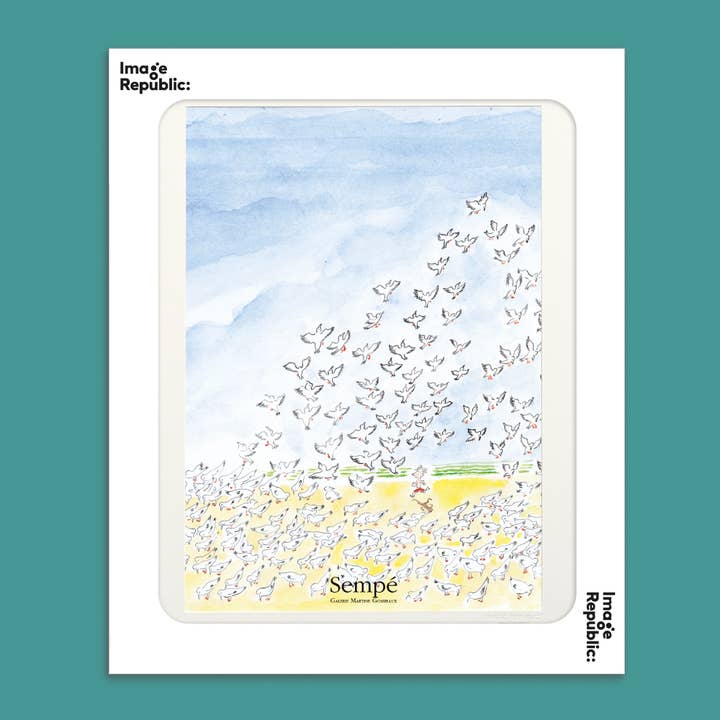 40x50 cm SEMPE BIRDS for wholesale by Image Republic
