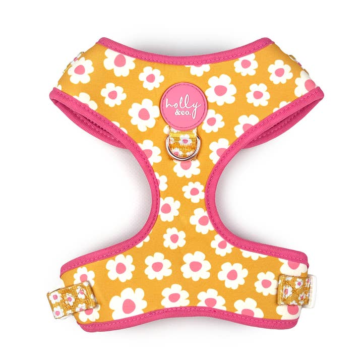 Hundsele//Gör min tusensköna för wholesale av Holly and Co Australia Pty Ltd