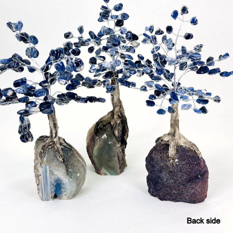 Rock Paradise - Wholesale Spiritual Stone/Crystal - Sodalite Crystal Tree on Agate Geode Base - You Choose Color5