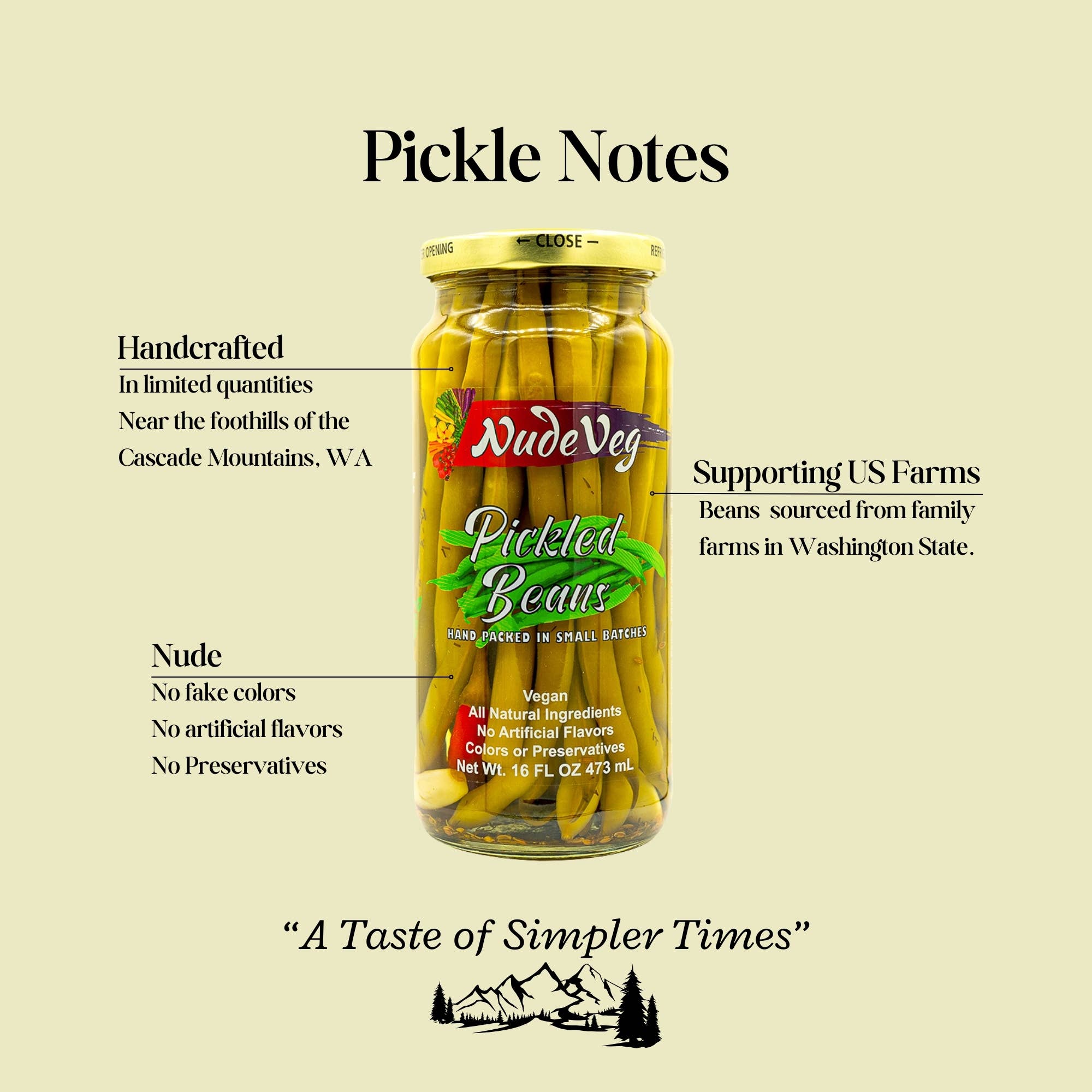 Ayurveg | NudeVeg Pickles - Wholesale Pickled Vegetables - Pickled Green Beans | Spicy Dill | Artisanal Pickles2