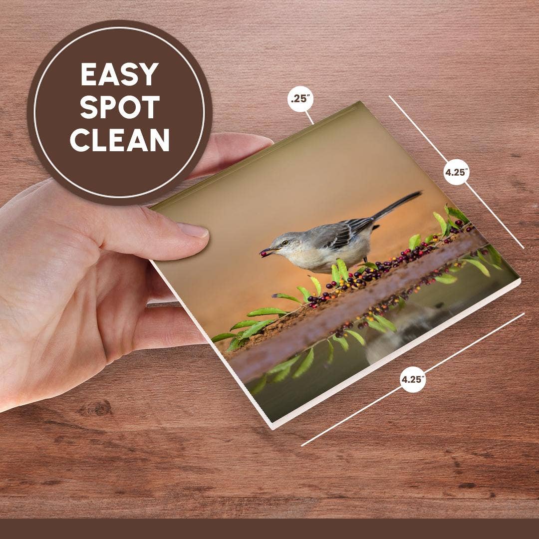 3dRose - Wholesale Coasters - 3dRose, Northern mockingbird, Mimus polyglottos feeding., Coaster6