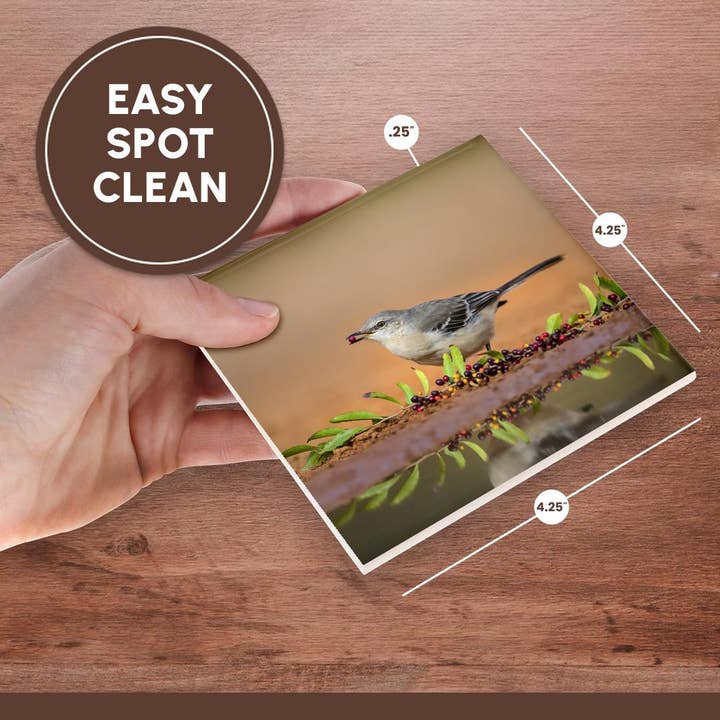 3dRose - Wholesale Coasters - 3dRose, Northern mockingbird, Mimus polyglottos feeding., Coaster6