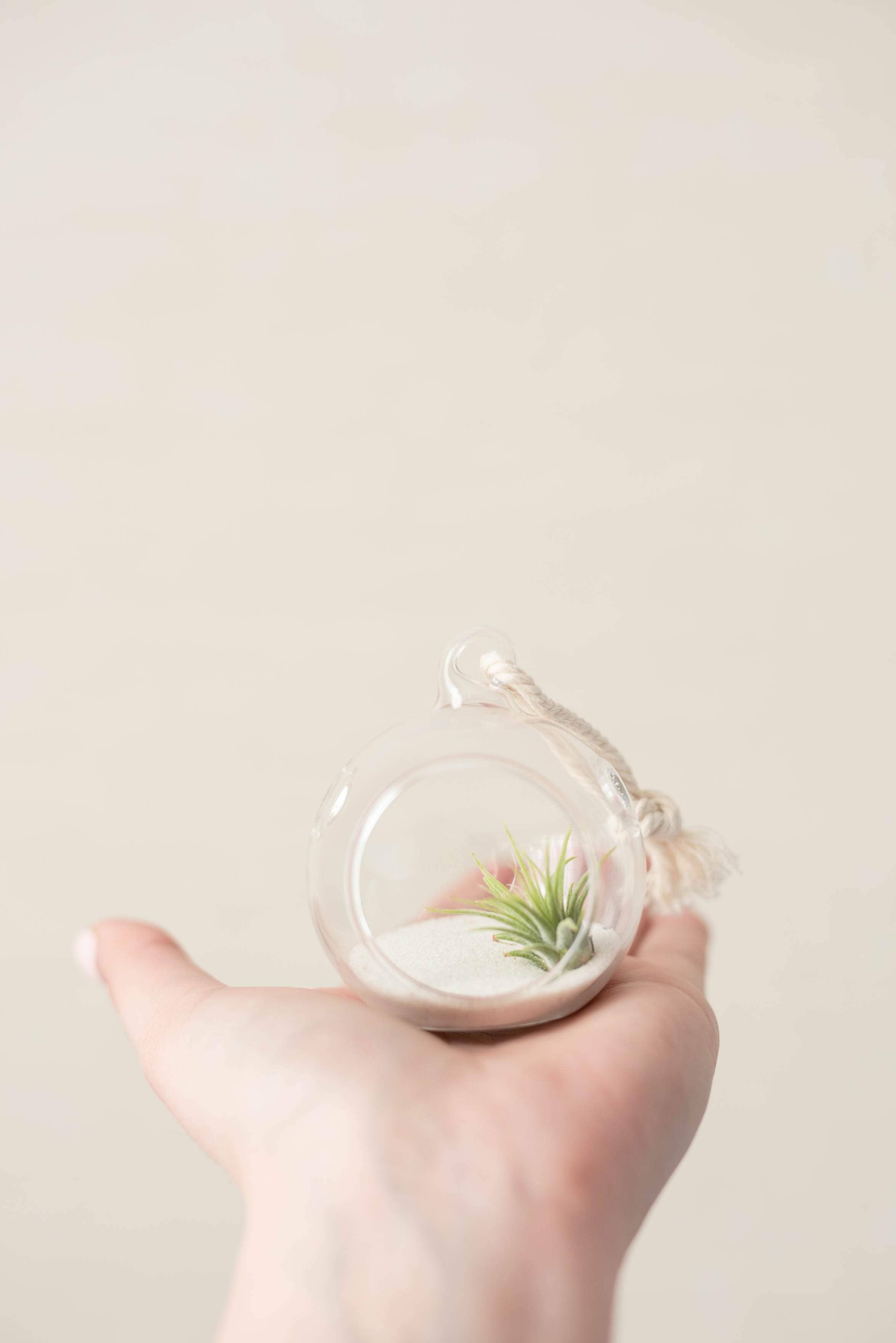 The Simply Crafty Shop - Wholesale Terrarium - Mini Orb Air Plant Terrarium Kit - Semi-Precious Stone55