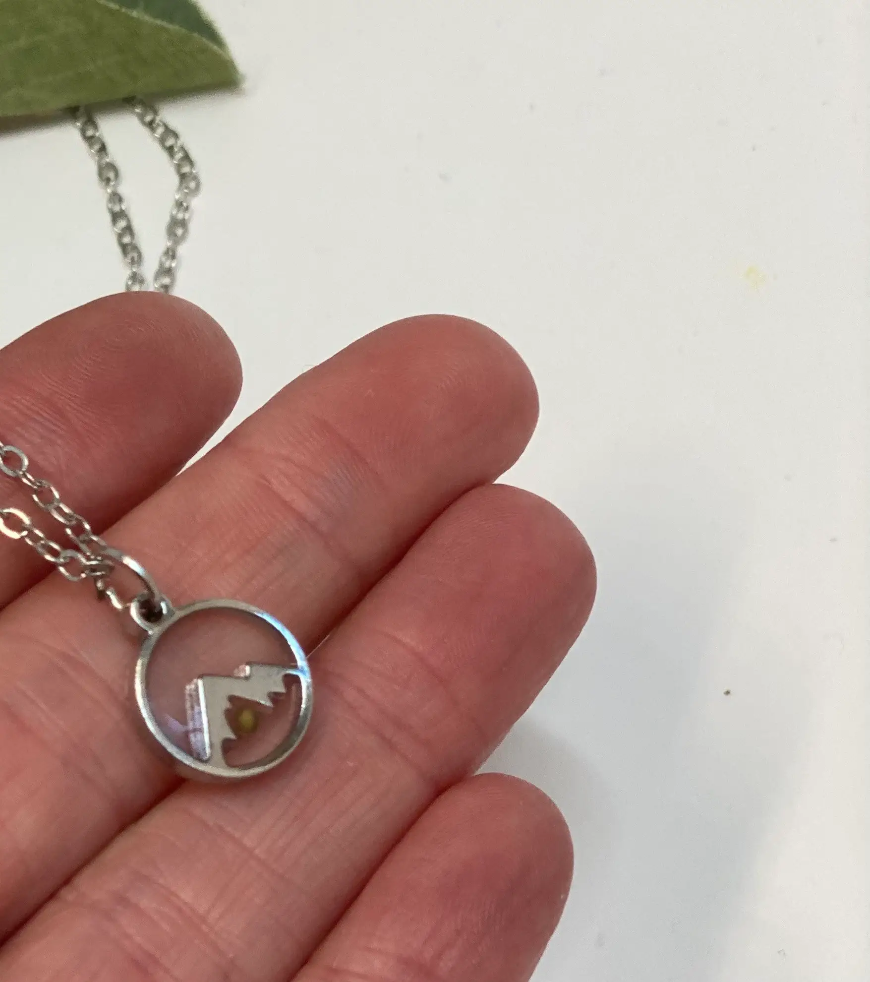 Little Happies Co - Wholesale Pendant/Charm Necklace - Mountain Mustard Seed Necklace3