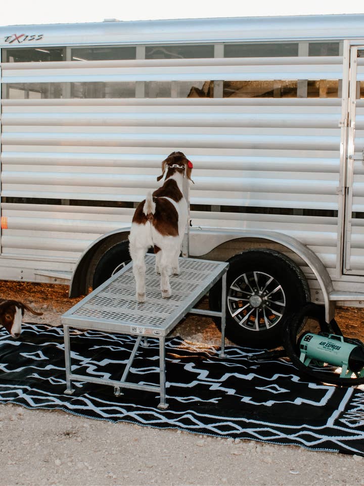 Outdoor Rug RTS for wholesale by Cactus Babes