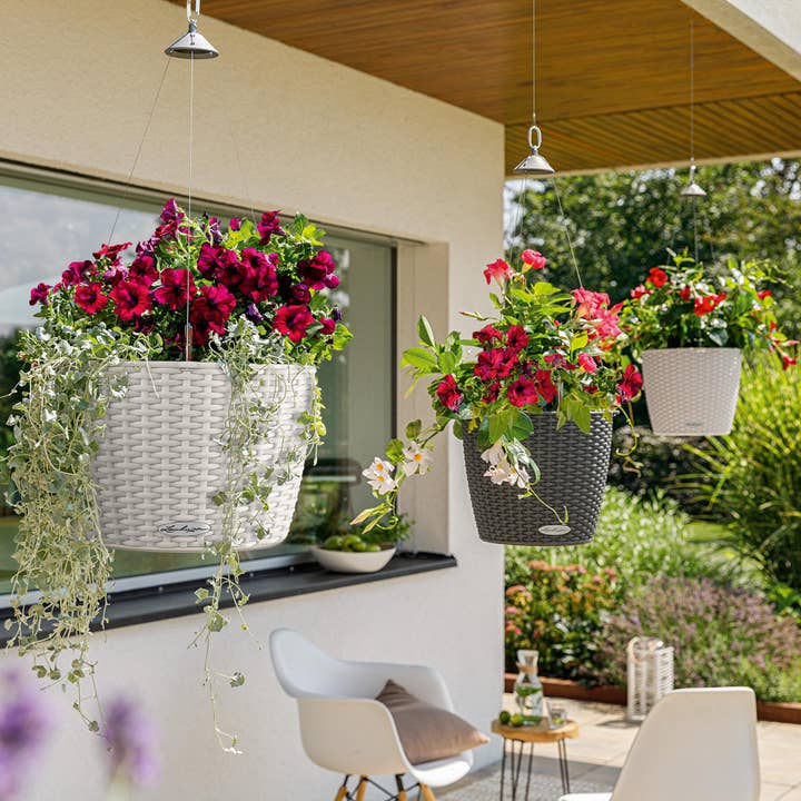 LECHUZA NIDO Cottage Hanging Basket Poly Resin Plant Pot for wholesale by Lechuza Self Watering Planters