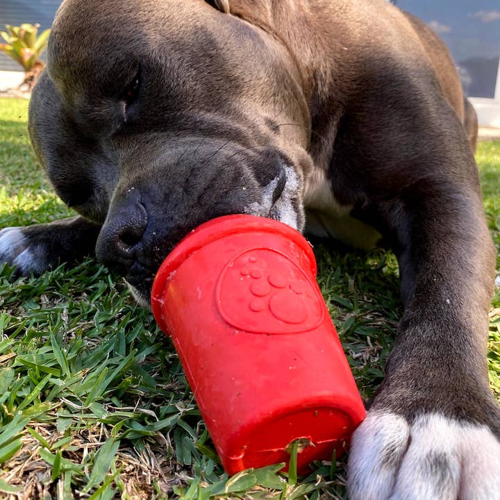 Rover Pet Products - Wholesale - Coffee Cup12