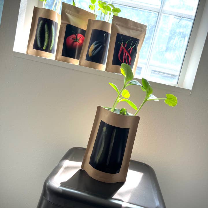 Potting Shed Creations, Ltd. - Wholesale Plant Seeds - Seed Start | Hot Peppers | Spring Kitchen Garden Gift4