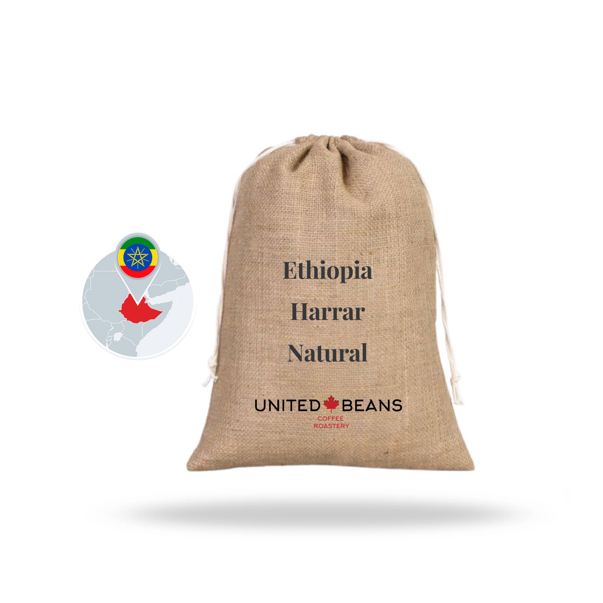 United Beans Coffee Roastery - Wholesale Coffee Beans - Green Coffee Beans | Ethiopia Harrar