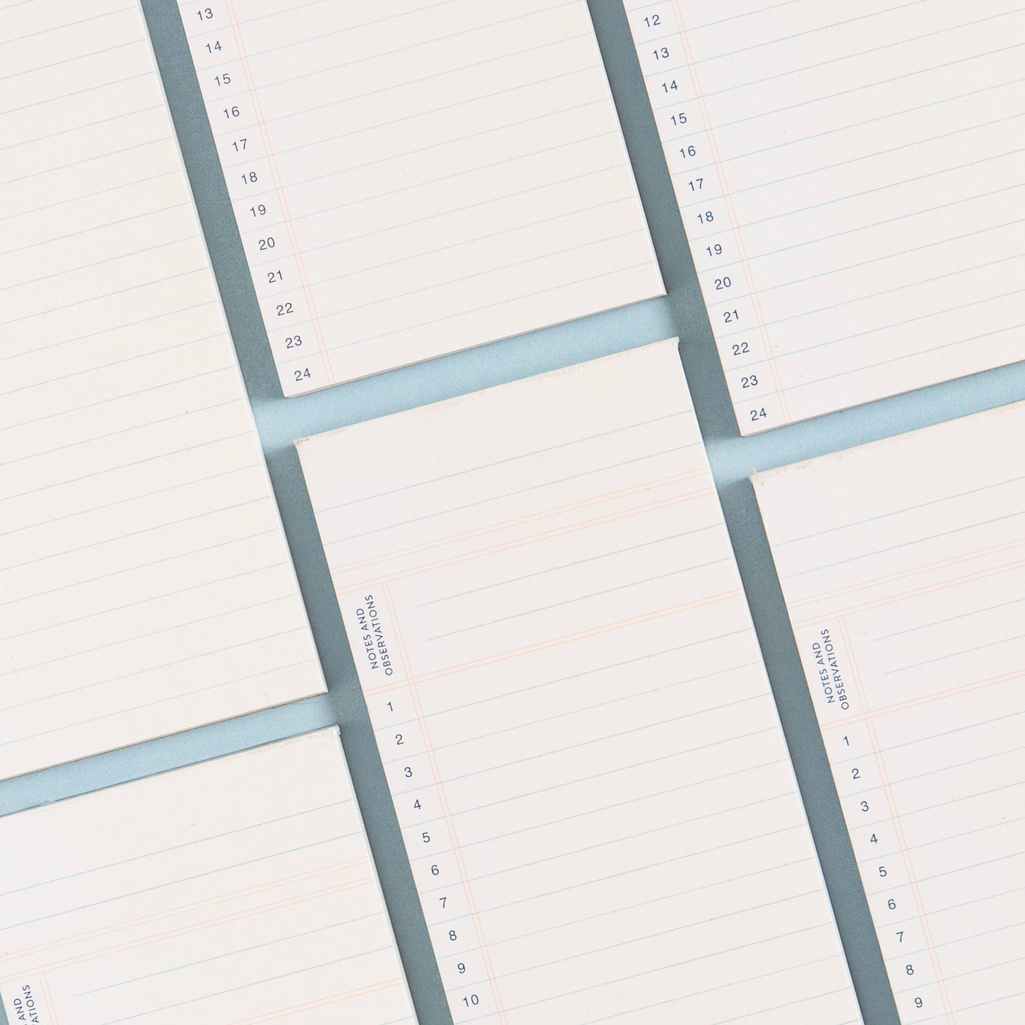 Studio Calico - Vendita all'ingrosso Bloc notes - Blocco note e osservazioni a righe6