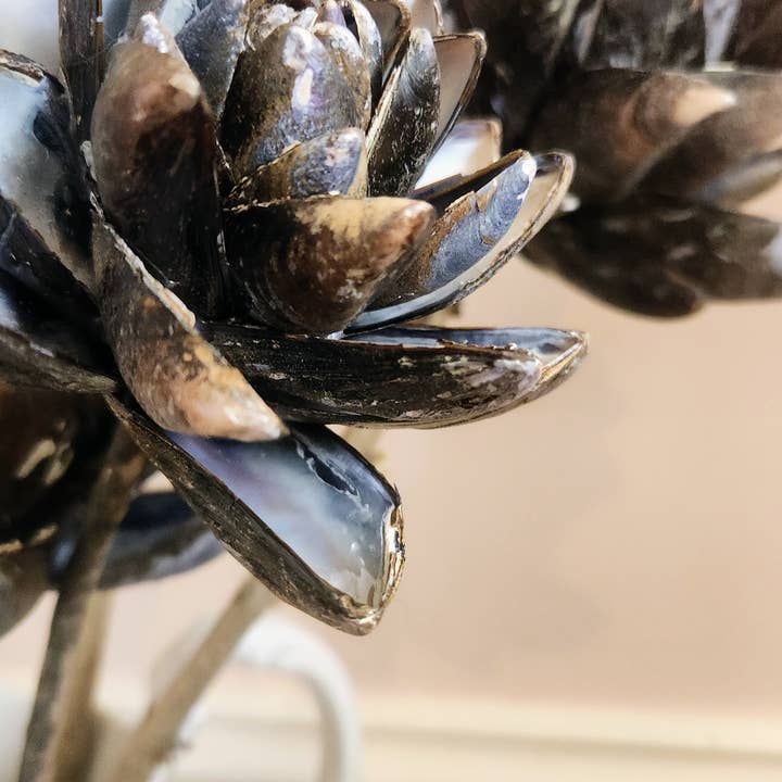 White Tulip Boutique - Vente Fleurs artificielles - Fleurs éternelles en coquilles de moules faites à la main, ensemble de 3