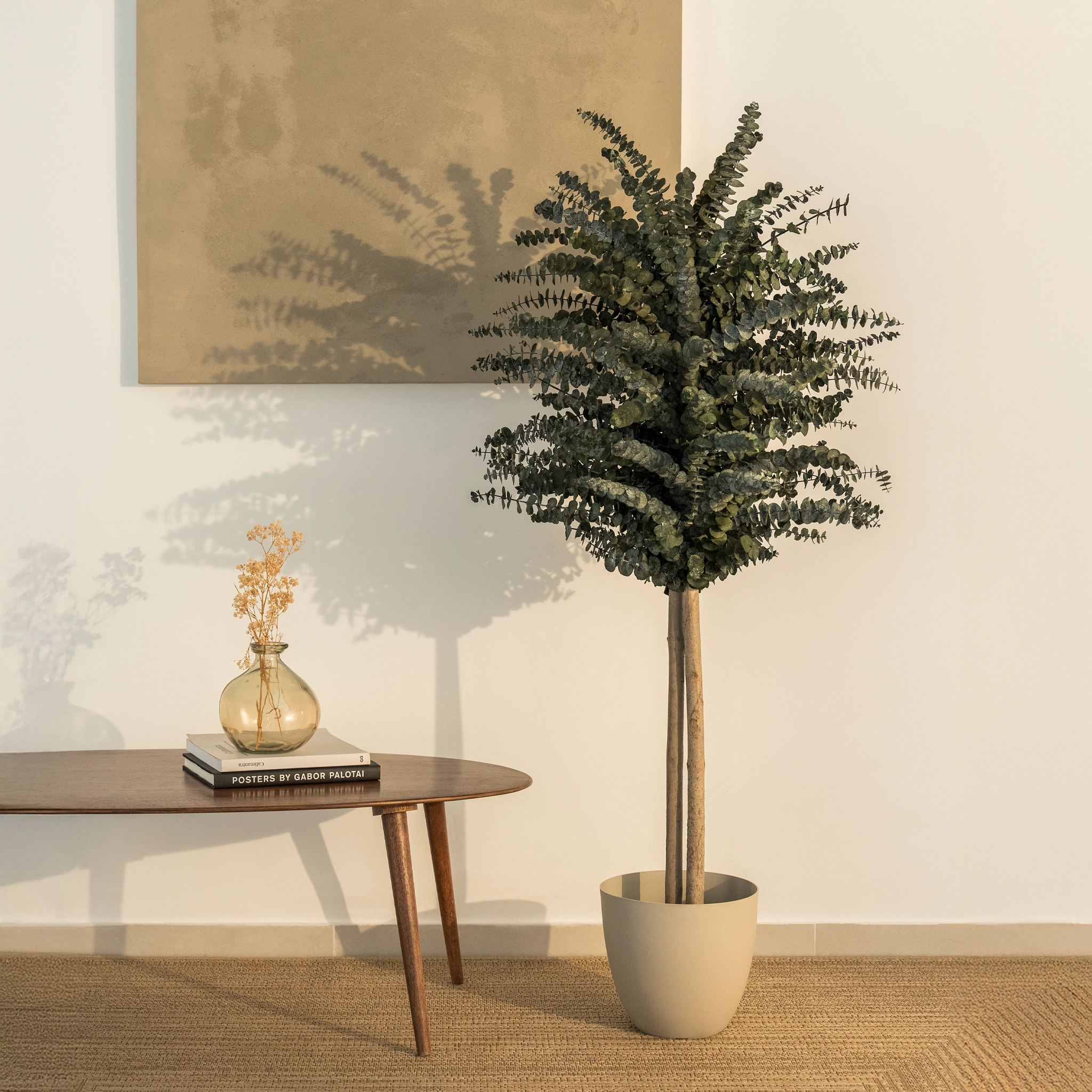 Maia Shop - Venta al por mayor Plantas artificiales - Árbol Eucalipto Preservado Baby2