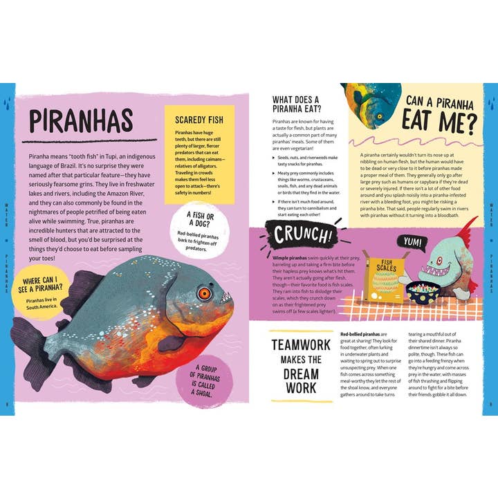 W. W. Norton - Wholesale Nature & Outdoors - Weird, Wild, Amazing! Water4