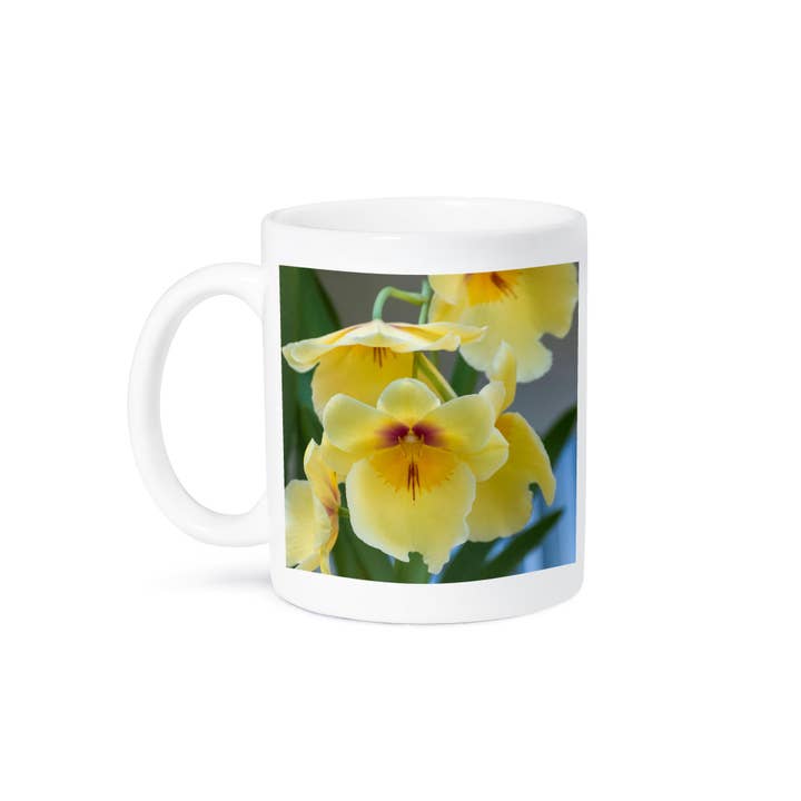 3dRose - Wholesale Coffee Mug - 3dRose, Yellow orchid blooms, Mug8