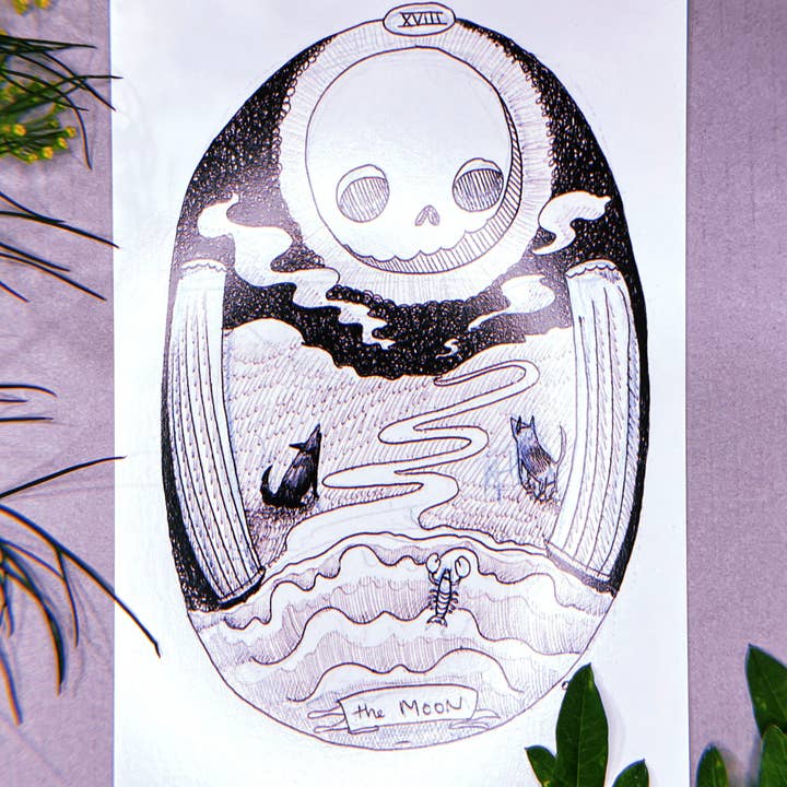 Cat Rocketship - Wholesale Tarot Cards - The Skeleton Tarot Deck1