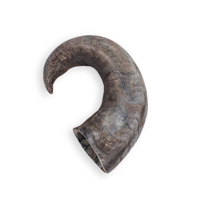 Rozie's Naturals - Wholesale Pet Treats - Dog - WATER BUFFALO HORN- 100% Natural, Dental Dog Chews & Treats12