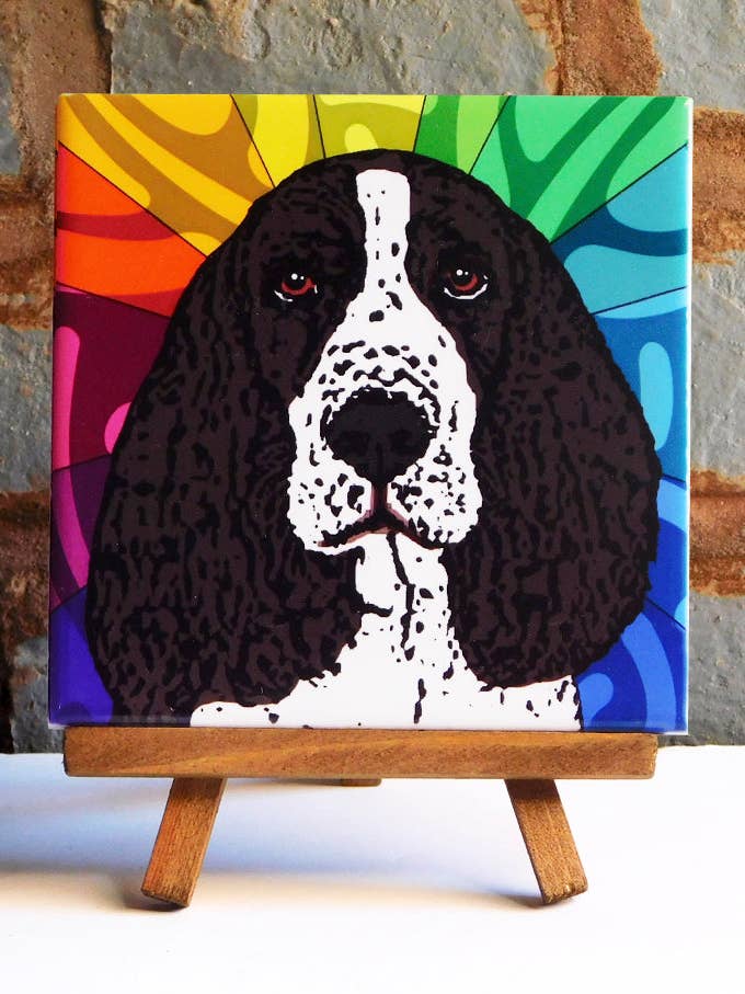 Piastrella in ceramica Springer Spaniel per la vendita all'ingrosso da parte di Sabyloo