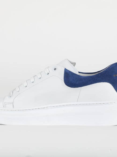 Star Rebel for wholesale by Why Not Brand