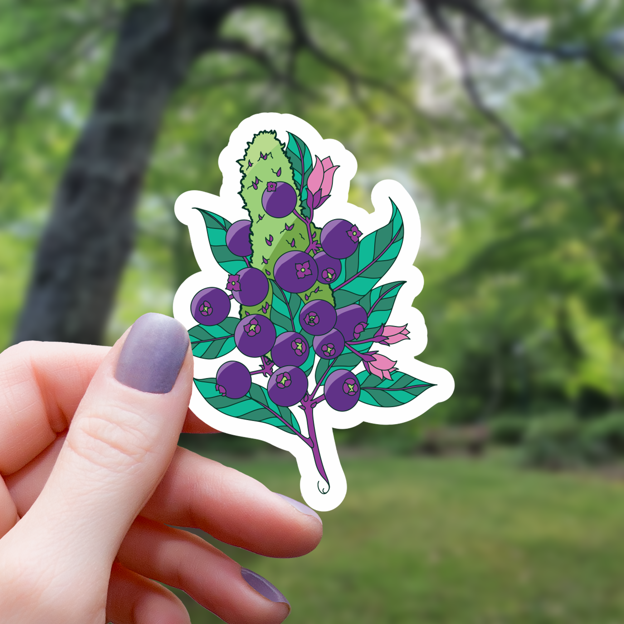 Mimic Gaming Co – wholesale Sticker – Blueberry Kush Cannabis Strain Inspired Sticker - 3"0
