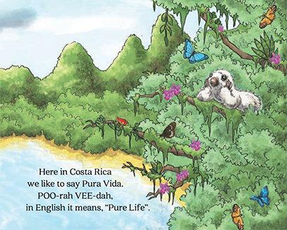 Bonnie Lee Books - Wholesale Preschool Book (3-5) - GO GO SADIE [BOOK, HARDCOVER]1