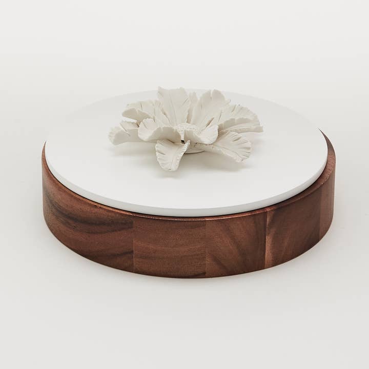 20 cm lacquered wood and porcelain box - OKO XL for wholesale by Anoq