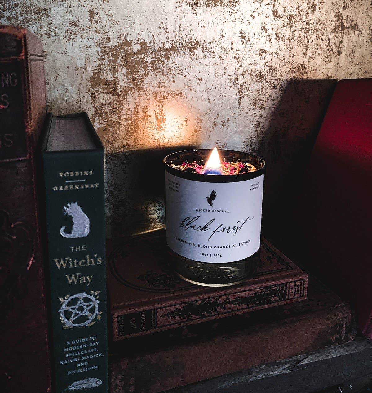 Wicked Obscura - Wholesale Jar/Filled Candle - Black Forest- Balsam Fir & Blood Orange Soy Candle6