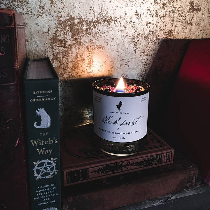 Wicked Obscura - Wholesale Jar/Filled Candle - Black Forest- Balsam Fir & Blood Orange Soy Candle6