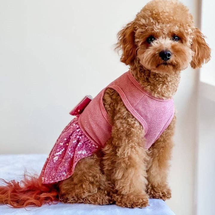 Fitwarm - Vendita all'ingrosso Vestito - Cani - Vestito elegante con paillettes scintillanti per cani24